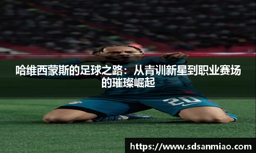 BB贝博艾弗森体育