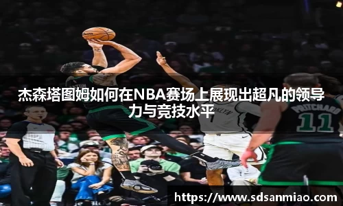 BB贝博艾弗森体育